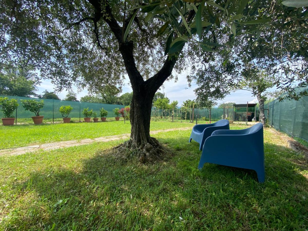 Casa Marcobando Villa Lucca Exteriör bild